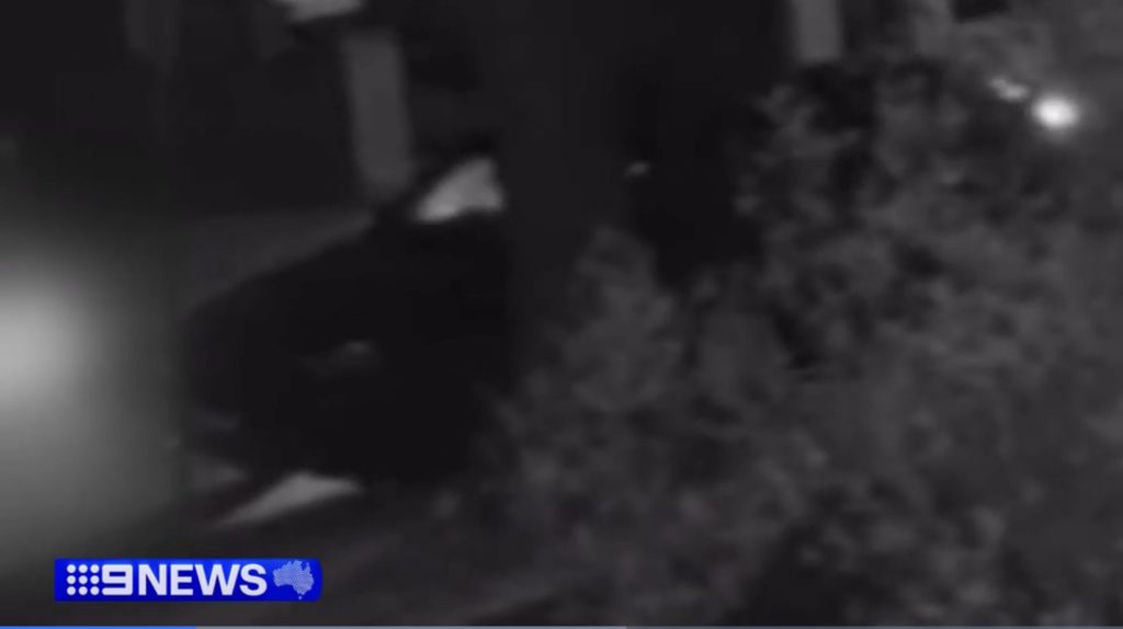 Image Source: News 9